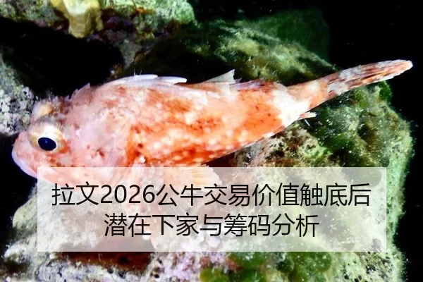 la-wen-gong-niu-jiao-yi-jia-zhi-chu-di-hou-qian-zai-xia-jia-yu-chou-ma-fen-xi-2-412.jpg